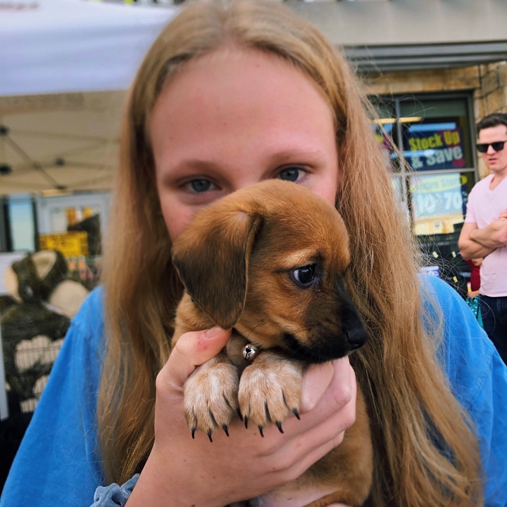 Meet your Posher, Maggie